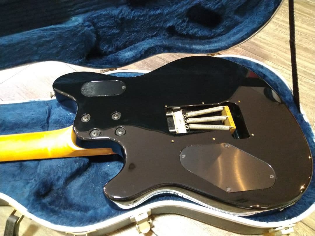 ギター peavey wolfgang special