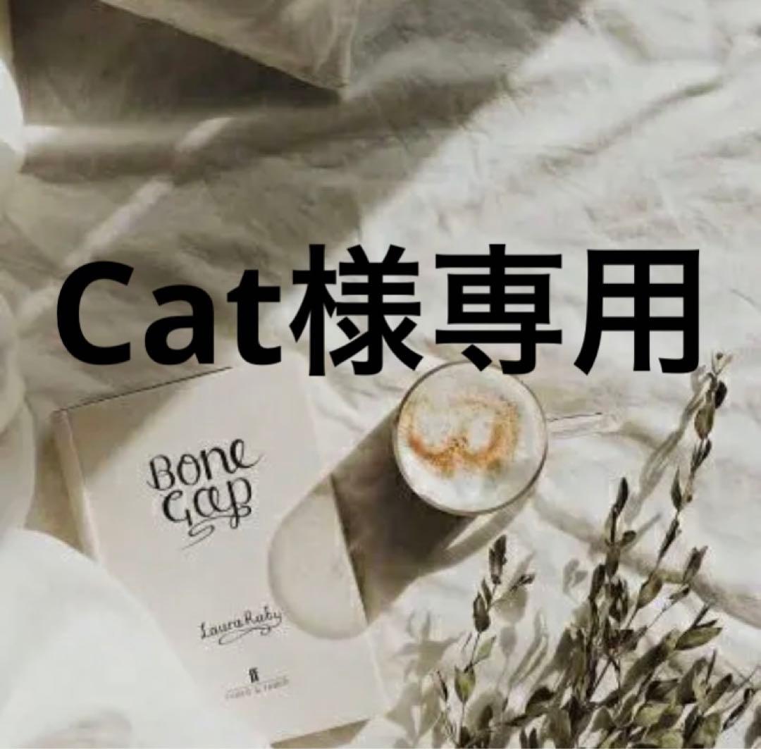 Cat　　準備中