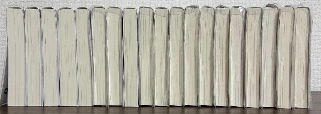 公女殿下の家庭教師 1-19巻セット