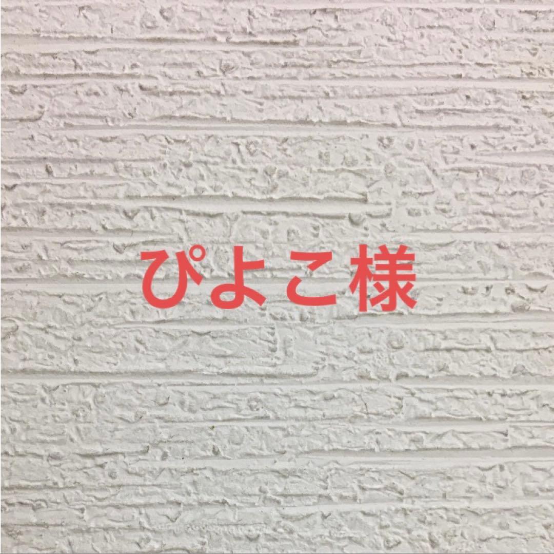 グレインフリーサーモン10キロ