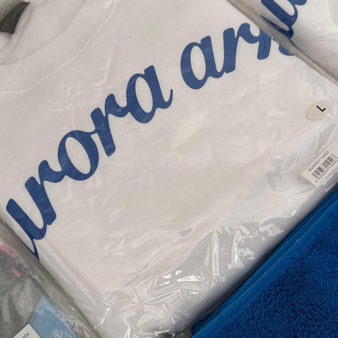 BUMP OF CHICKEN グッズまとめ売り