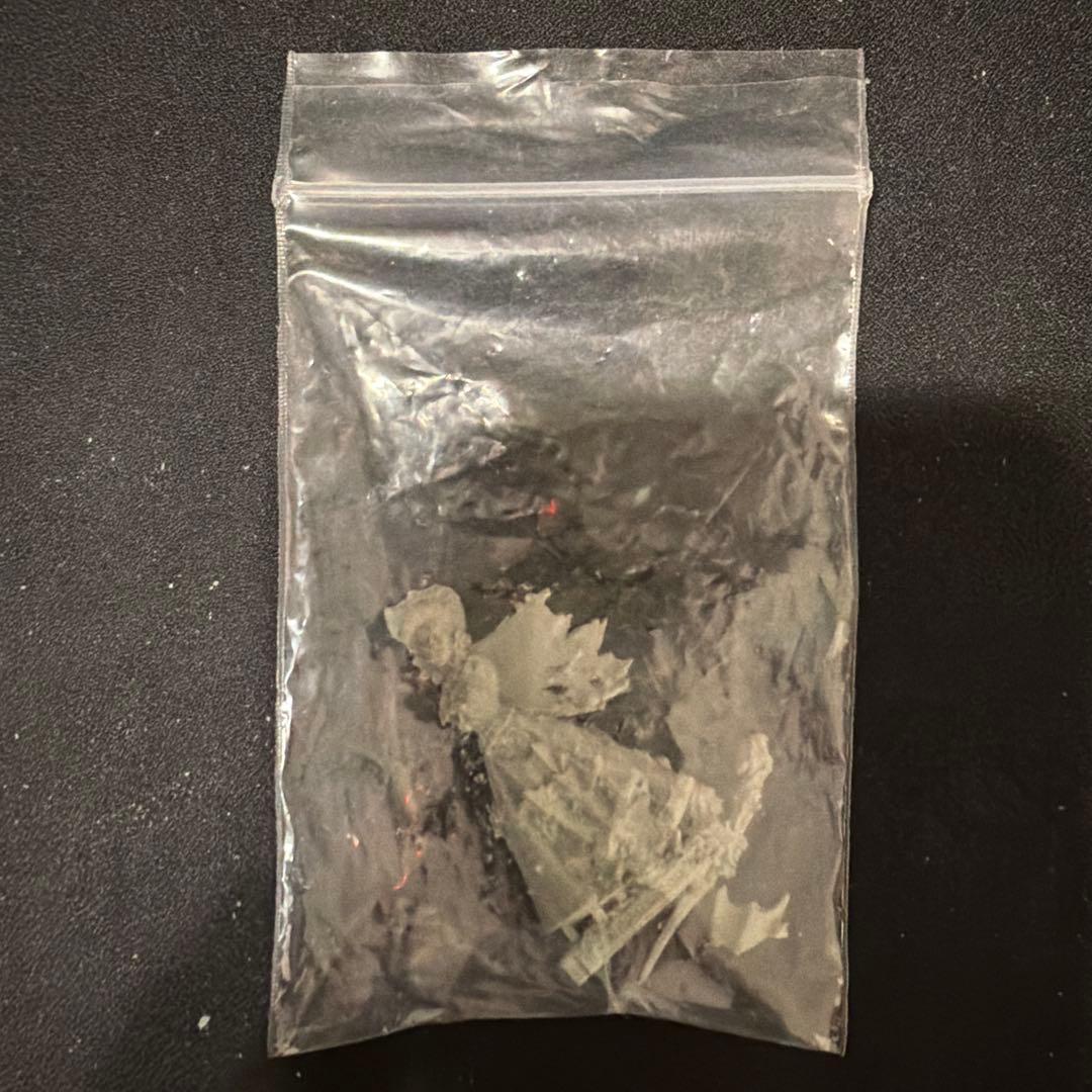 イザベラ・フォン・カーシュタイン ウォーハンマー