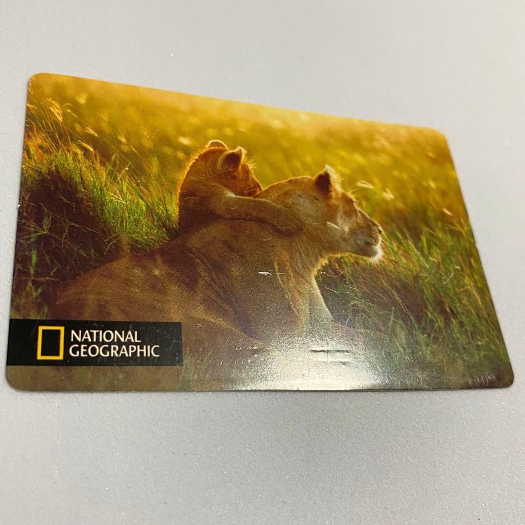 日経ナショナルジオグラフィック社　2004年　カレンダー　岩合光昭　親子のきずな