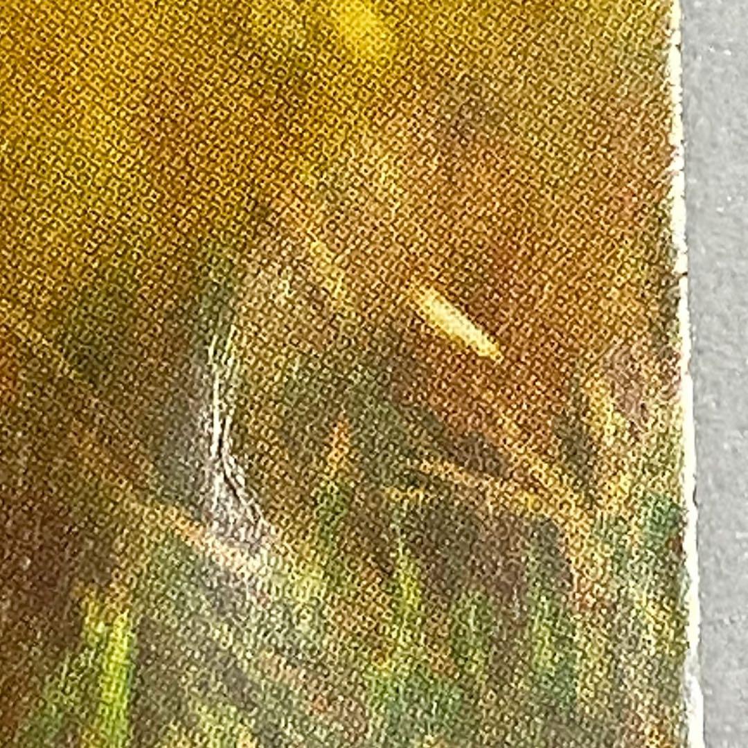 日経ナショナルジオグラフィック社　2004年　カレンダー　岩合光昭　親子のきずな