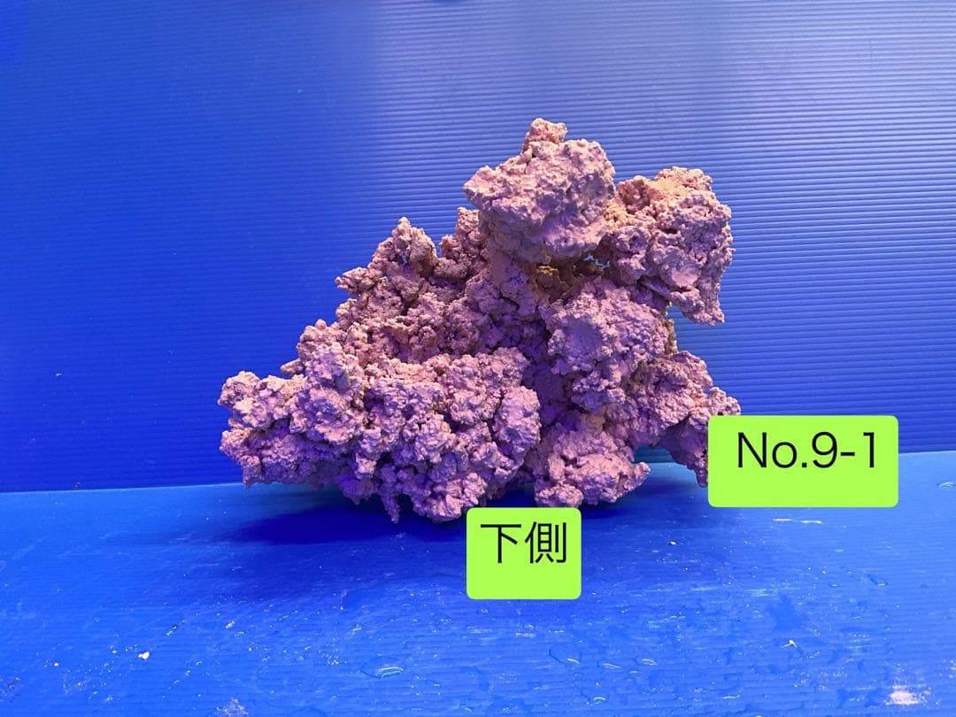 人工ライブロック　お魚たちの隠れ家　No.9-1CO2無害化処理済