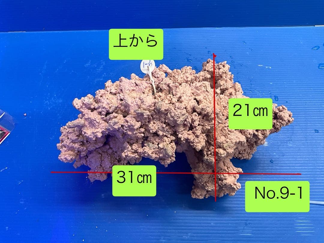 人工ライブロック　お魚たちの隠れ家　No.9-1CO2無害化処理済
