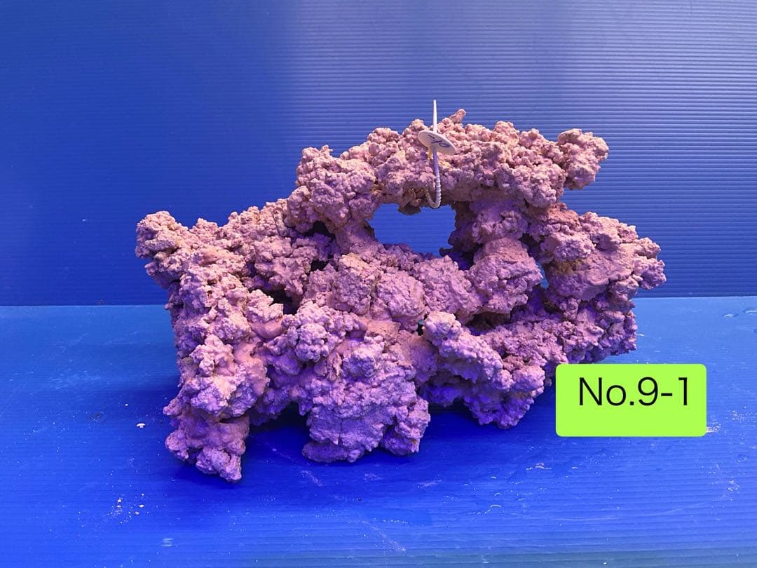 人工ライブロック　お魚たちの隠れ家　No.9-1CO2無害化処理済