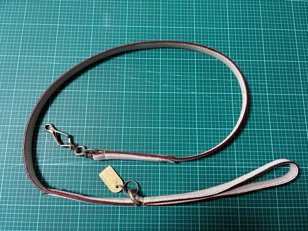 ルイ ヴィトン⭐︎首輪&リード ⭐︎スハリ⭐︎gucci⭐︎coach⭐︎