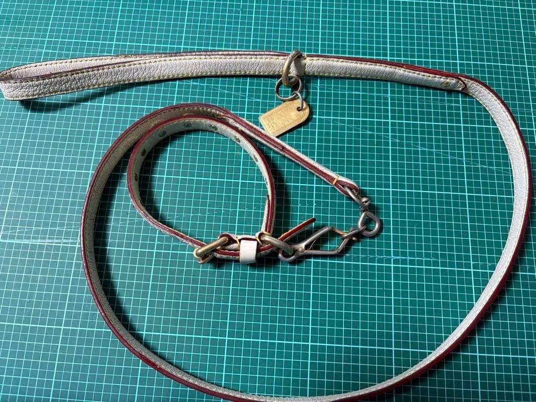 ルイ ヴィトン⭐︎首輪&リード ⭐︎スハリ⭐︎gucci⭐︎coach⭐︎