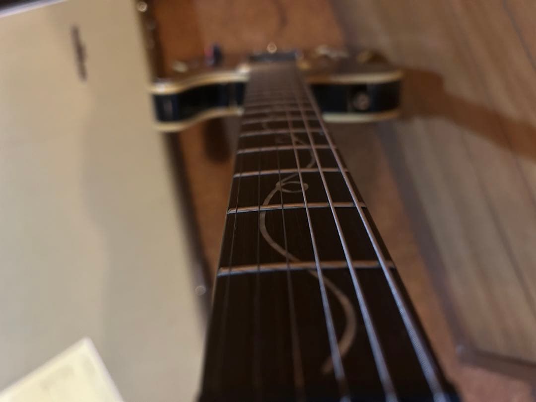 最終価格レア　Joe Doe Guitars Lucky Buck JDV001