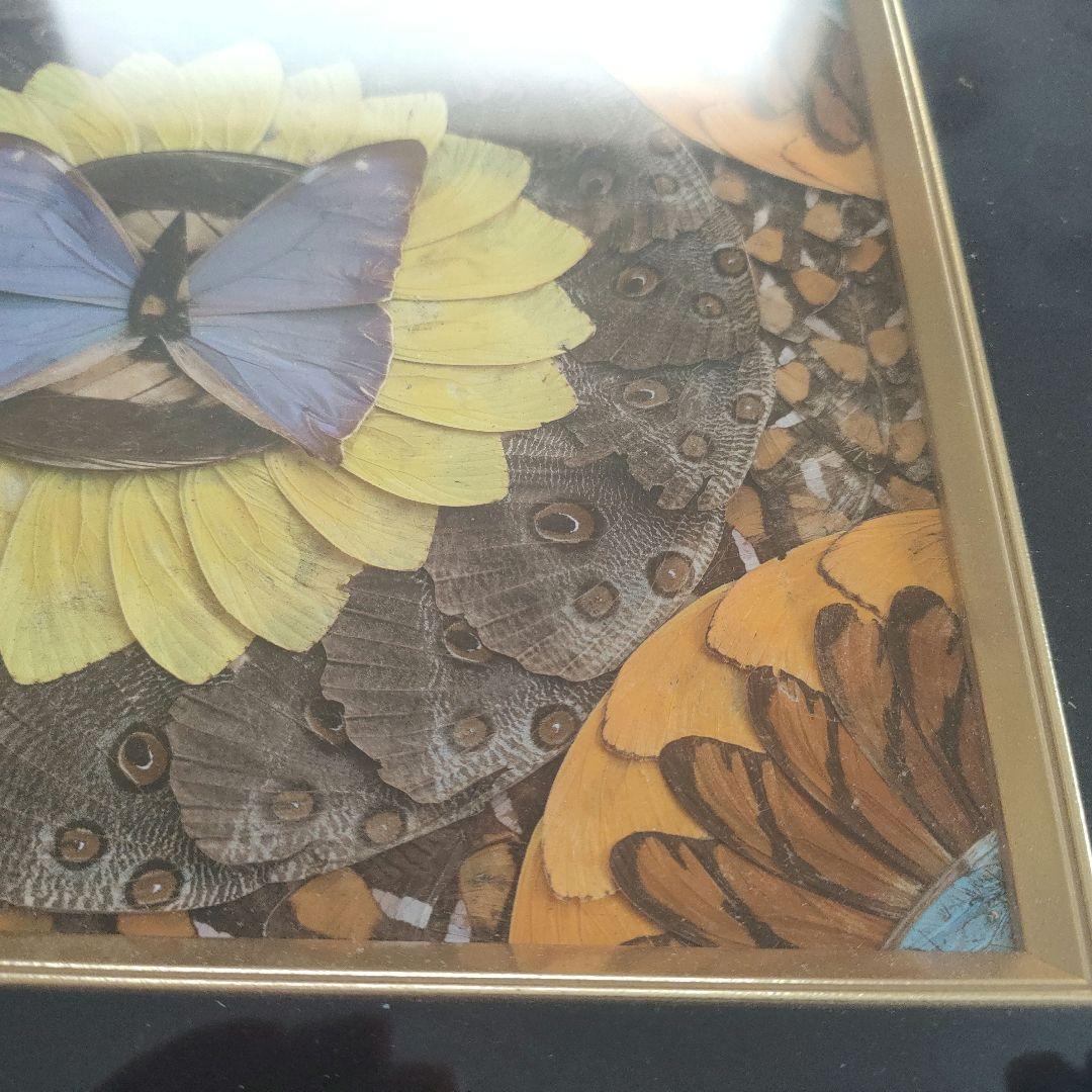 蝶 モチーフ 額装アート 絵画 立体作品 インテリア