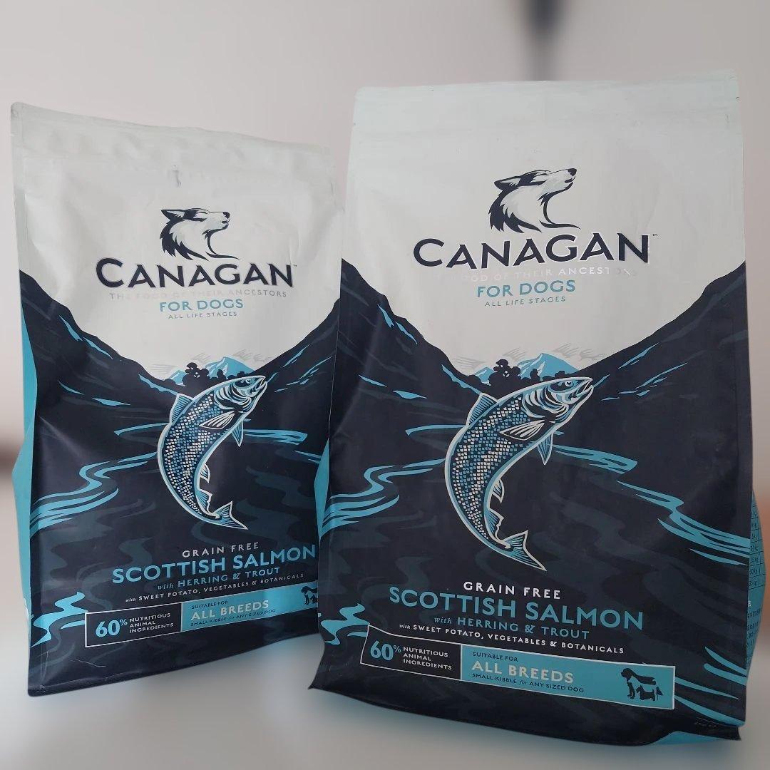 CANAGAN ドッグフード スコティッシュサーモン 2kg×2