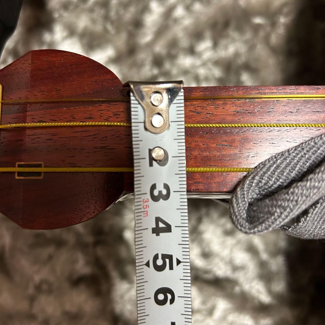 日本和楽器製造 銀河印 津軽三味線 入門セット　ハードケース