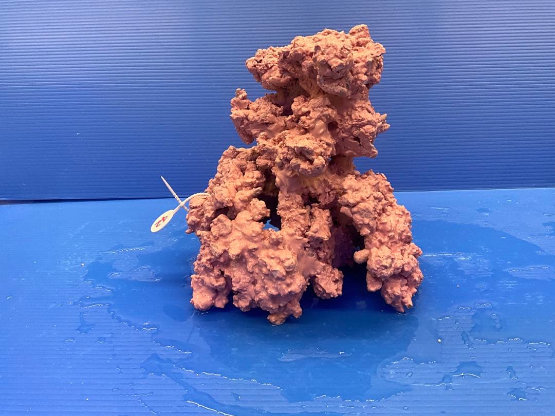 人工ライブロック. No.42. 無害化処理済