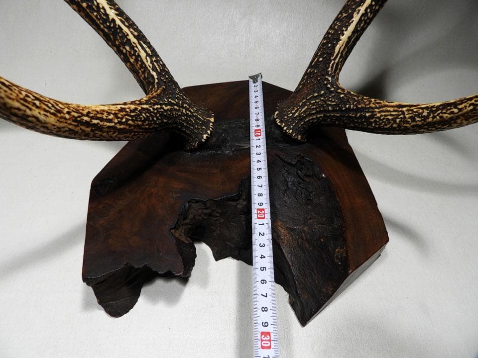 ●逆賊の幕臣 小栗忠順 小栗上野介忠順 所要 墨書 鹿角 刀掛け 三刀掛け 幕末