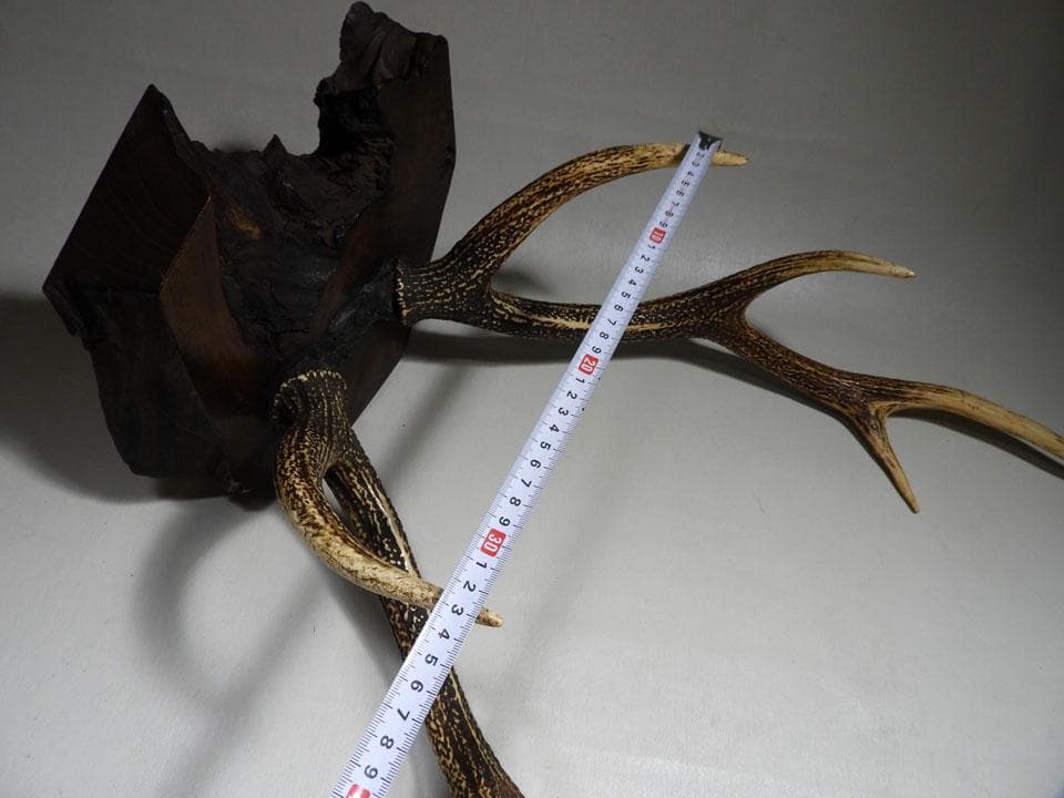 ●逆賊の幕臣 小栗忠順 小栗上野介忠順 所要 墨書 鹿角 刀掛け 三刀掛け 幕末