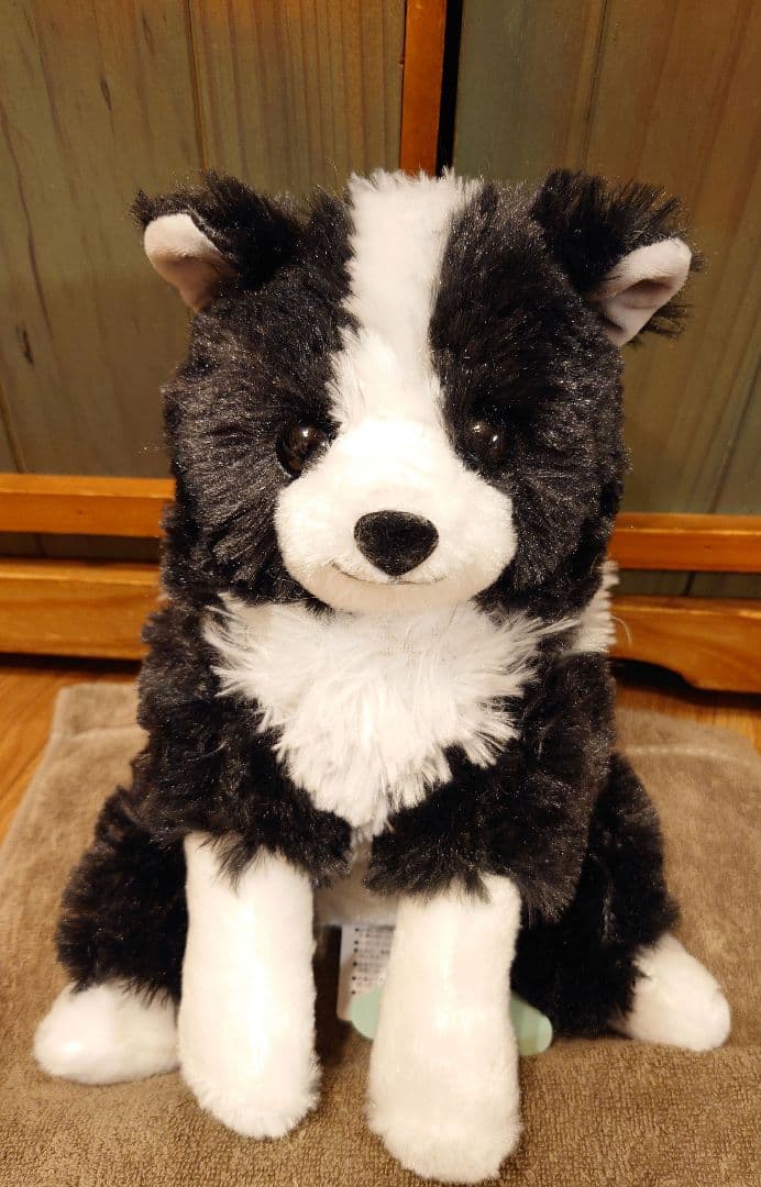 くったりボーダーコリー おりこうさん  ノワール  JB