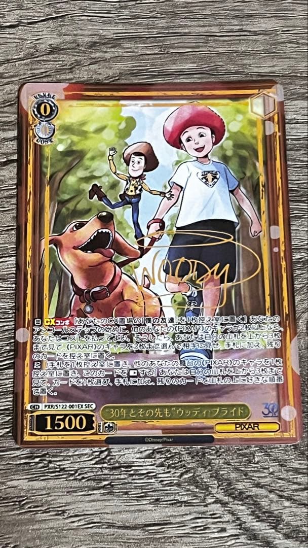 ヴァイス　トイストーリー 30年とその先もウッディ・プライド　SEC サイン