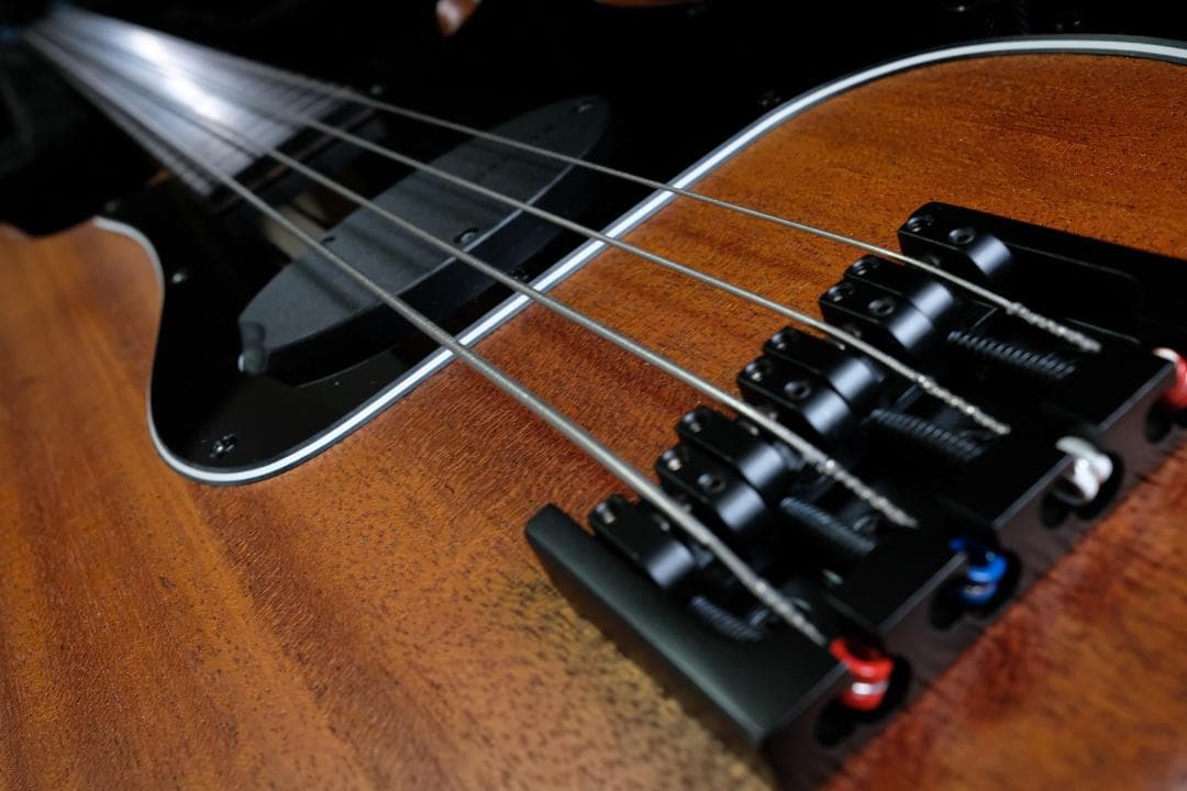 ベース Provision Guitar Precision Bass FRETLESS