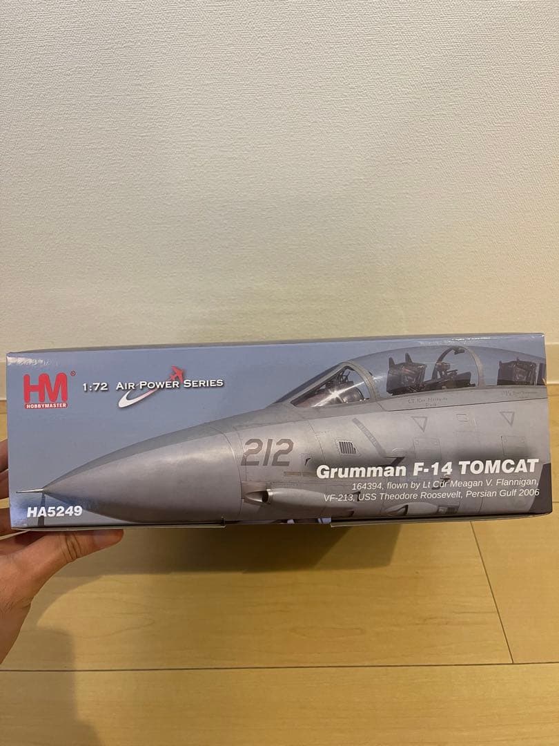 航空機・ヘリコプター Hobby Master 1/72 F14D VF-213 HA5249