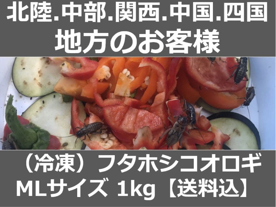 ★合鴨なつお君商品★冷凍コオロギ1kg M・Lサイズ　フタホシコオロギ