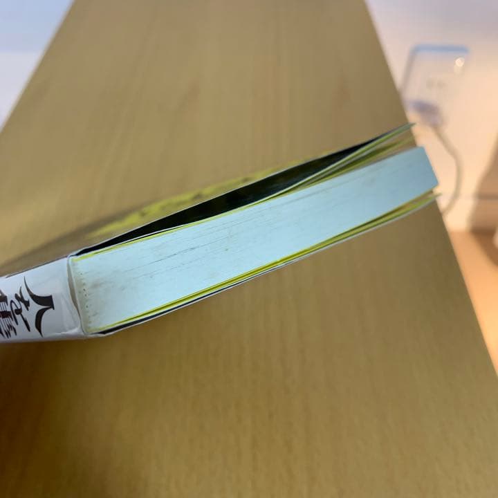 【希少！】人を集める なぜ東京ディズニーランドが\"はやる\"のか／堀 貞一郎(著)