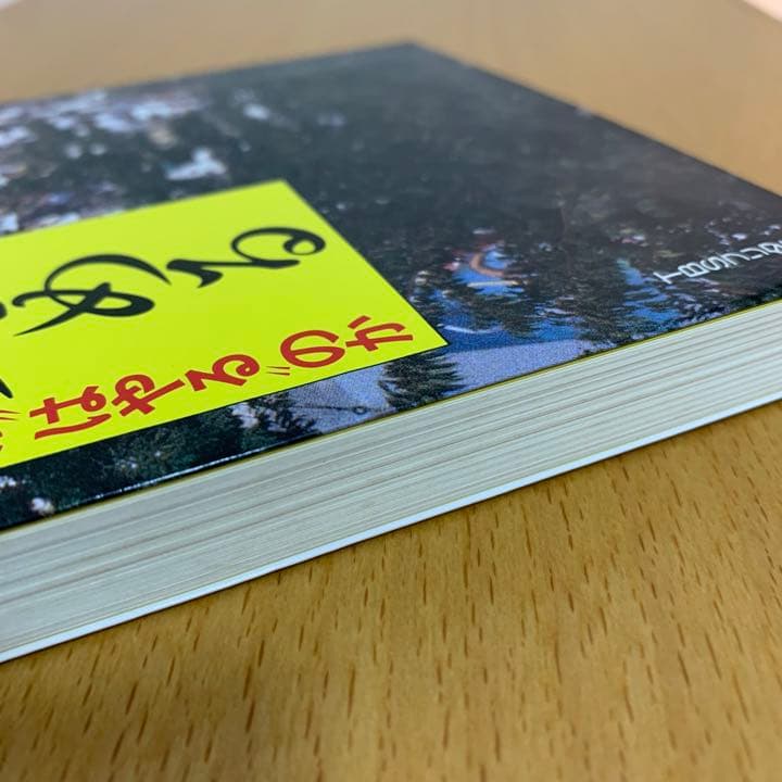 【希少！】人を集める なぜ東京ディズニーランドが\"はやる\"のか／堀 貞一郎(著)