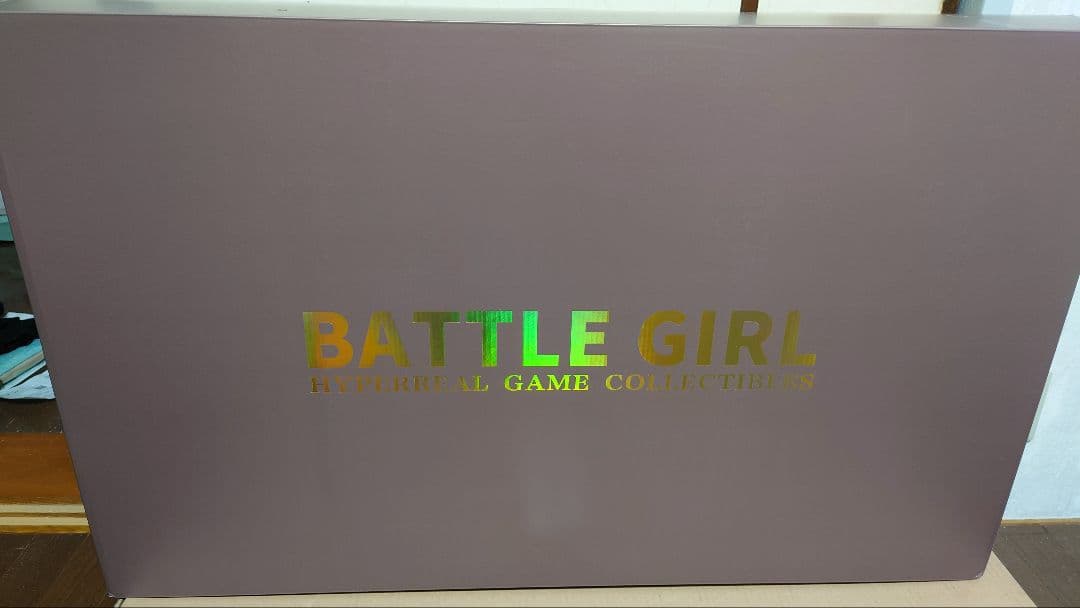 SGD Studio 1/3 バトルガール 002 2B　未開封　可動フィギュア