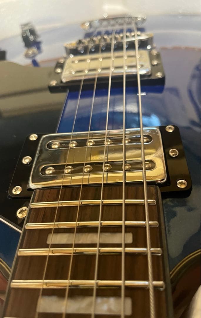 セミホロウボディ ステンレスフレット メタルフィニッシュ(ブルー)