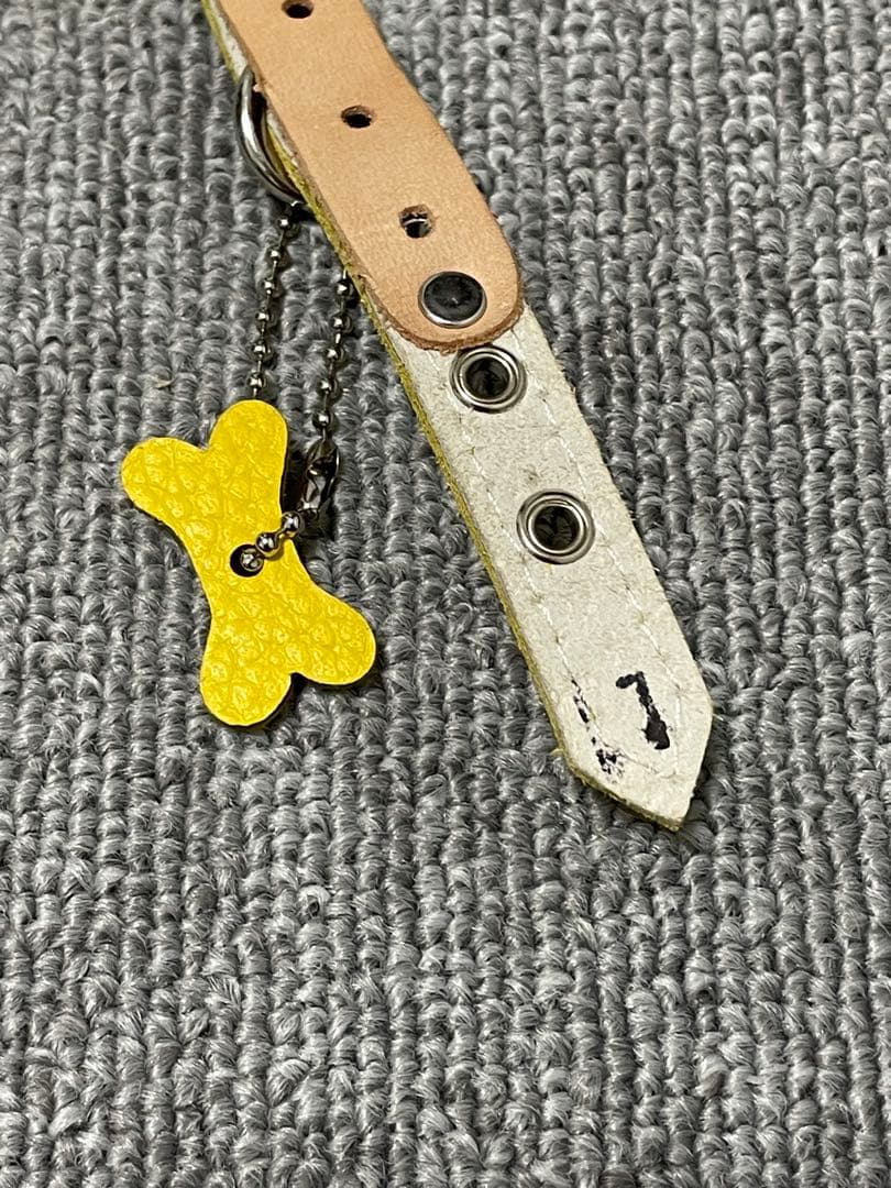 バディベルトカナリア1号ハーネス リード セット