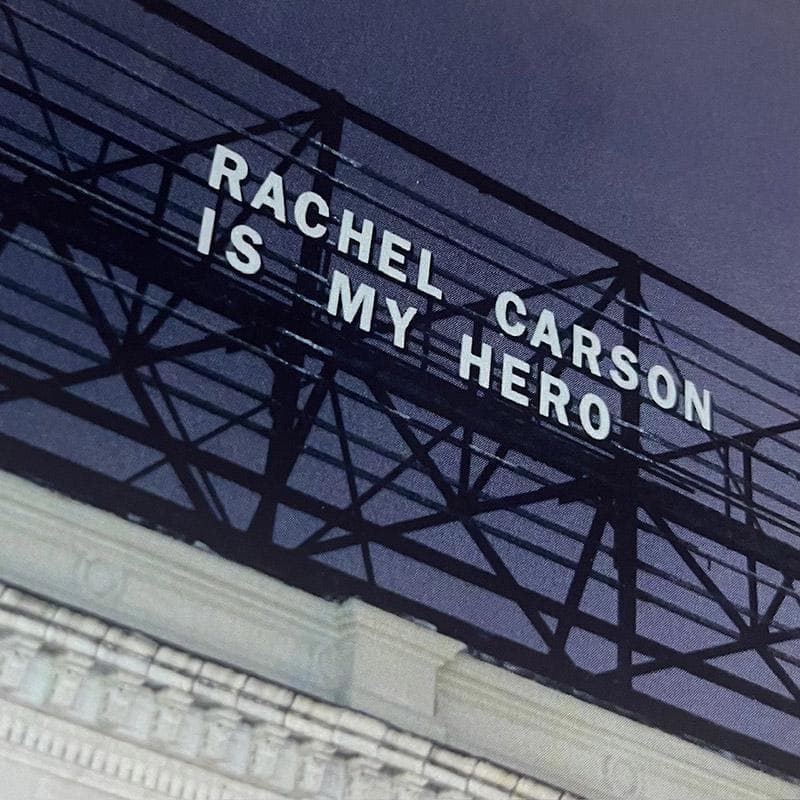 マット額装品/David Horvitz /デヴィッド・ホーヴィッツ