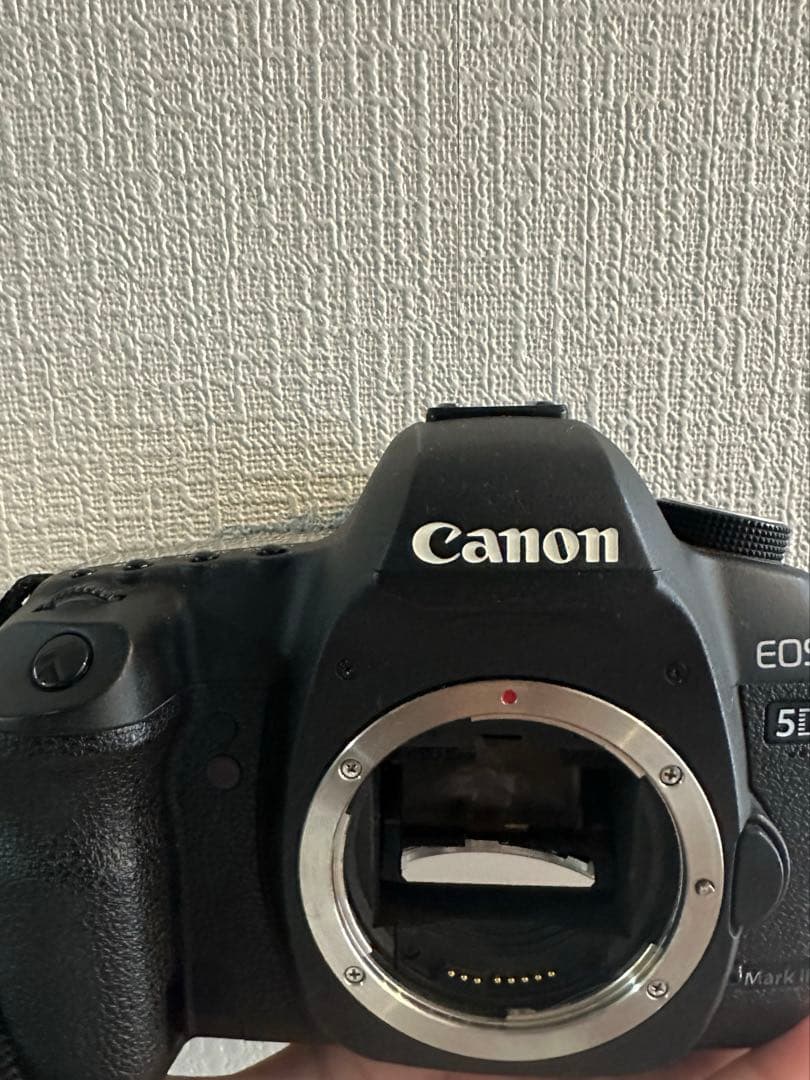 Canon EOS 5D Mark II レンズ2本 バッテリー3個充電器セット