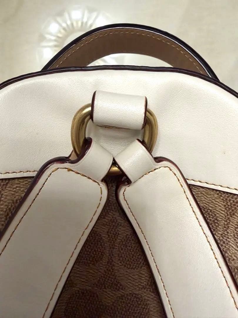 極美品COACH キャンパス バックパック 23 シグネチャー ローズプリント