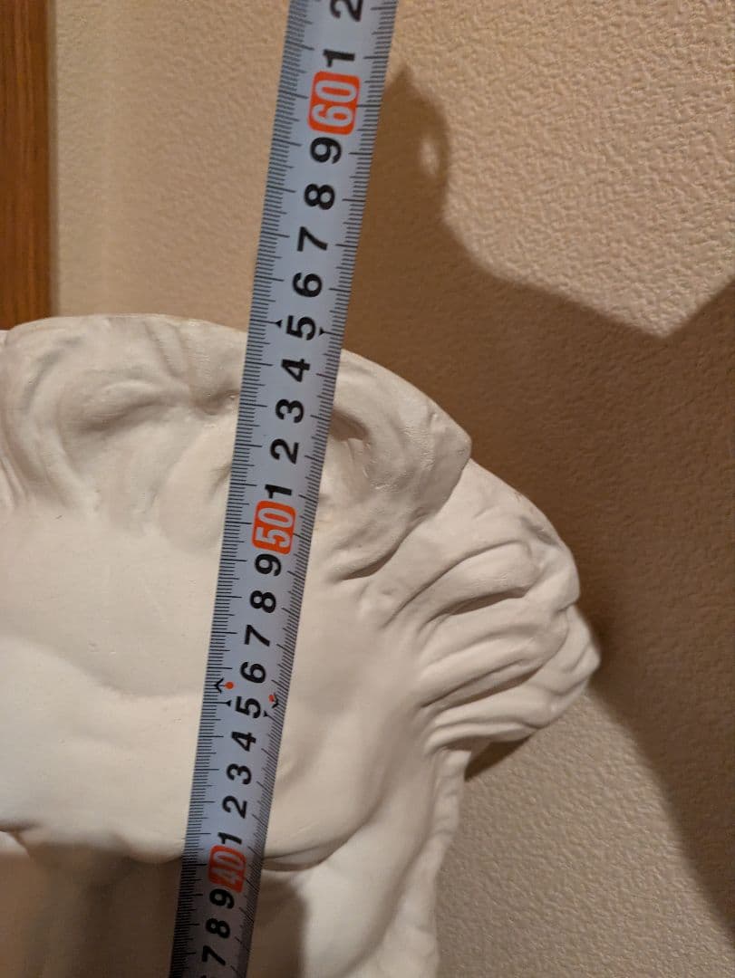 石膏像　モーゼ大顔面