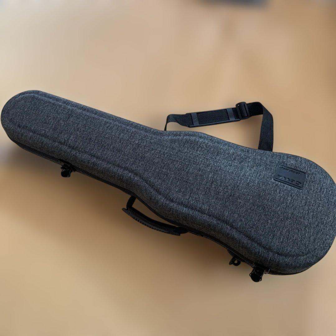 GEWA バイオリンケース