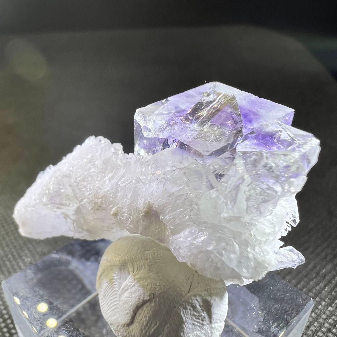 福建省産　クォーツクラスター共生　パープルゾーニング　クリアフローライト
