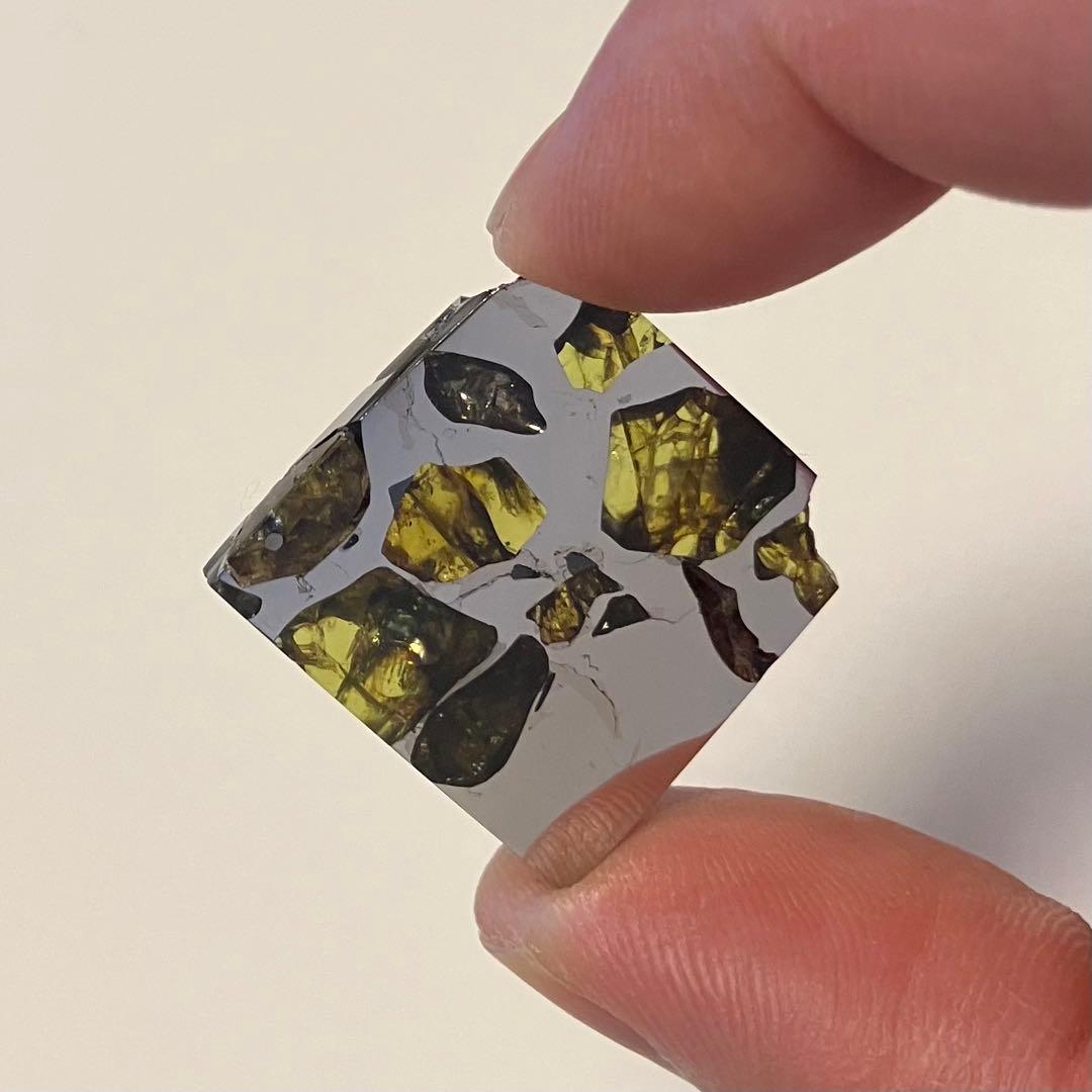 エスケル　隕石　ESQUEL パラサイト