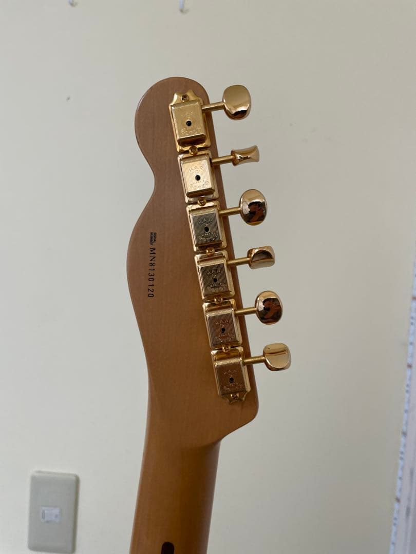 【激レア3PU】Fender Nashville Telecaster