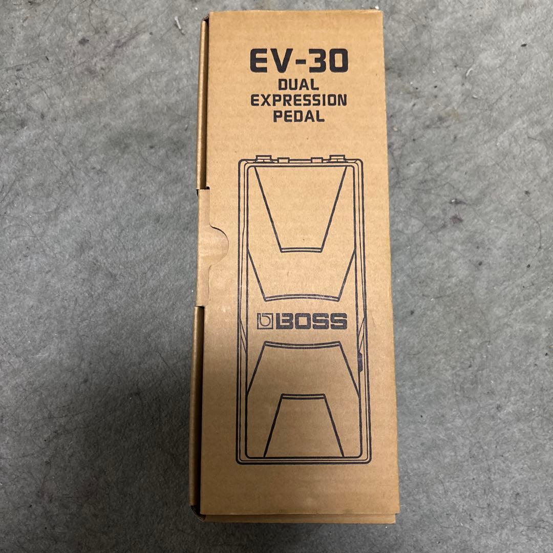 ギター BOSS EV30