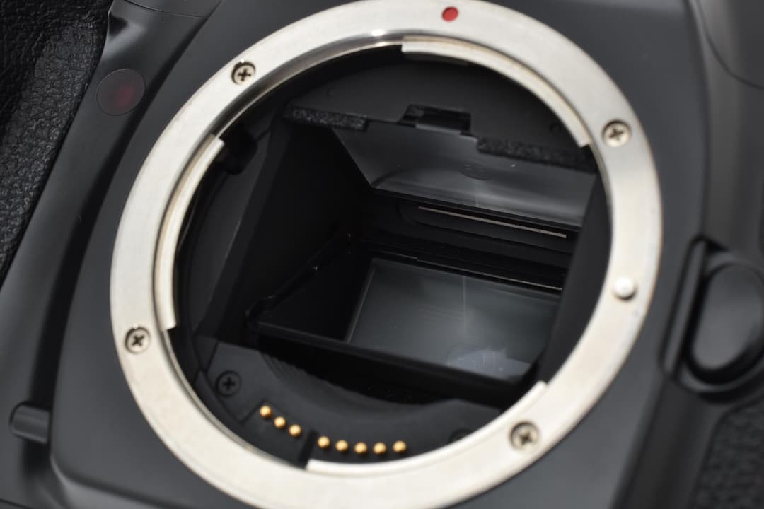 美品 Canon EOS-1 専用革ストラップ 9454