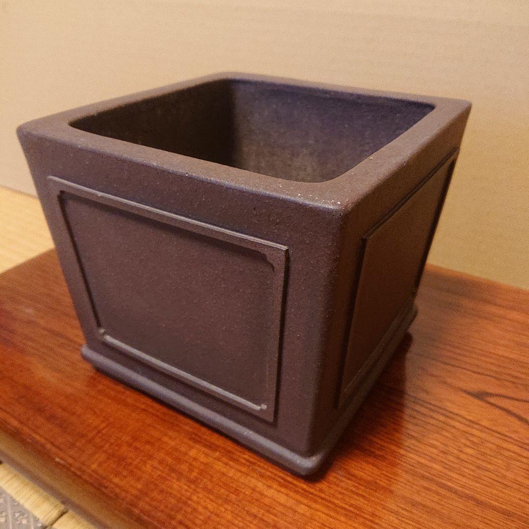 盆栽鉢 山秋造 松泉焼 常滑