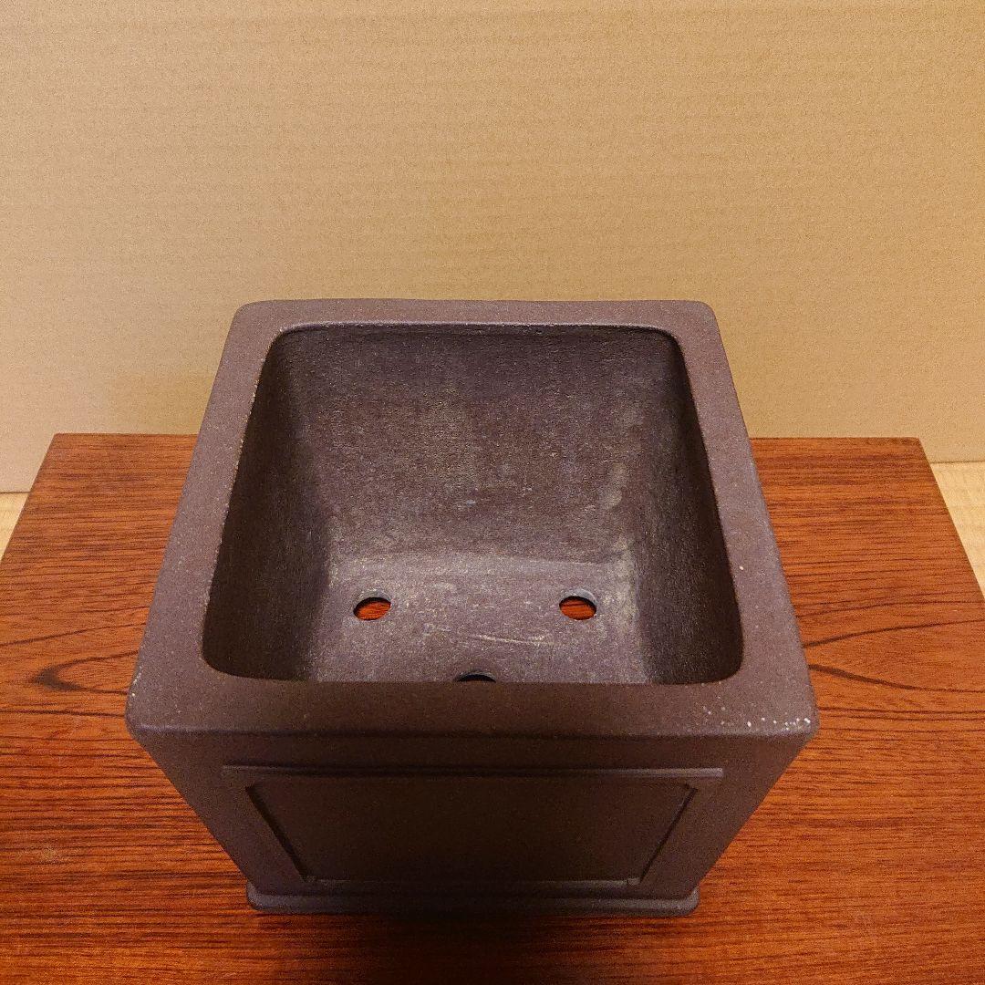 盆栽鉢 山秋造 松泉焼 常滑