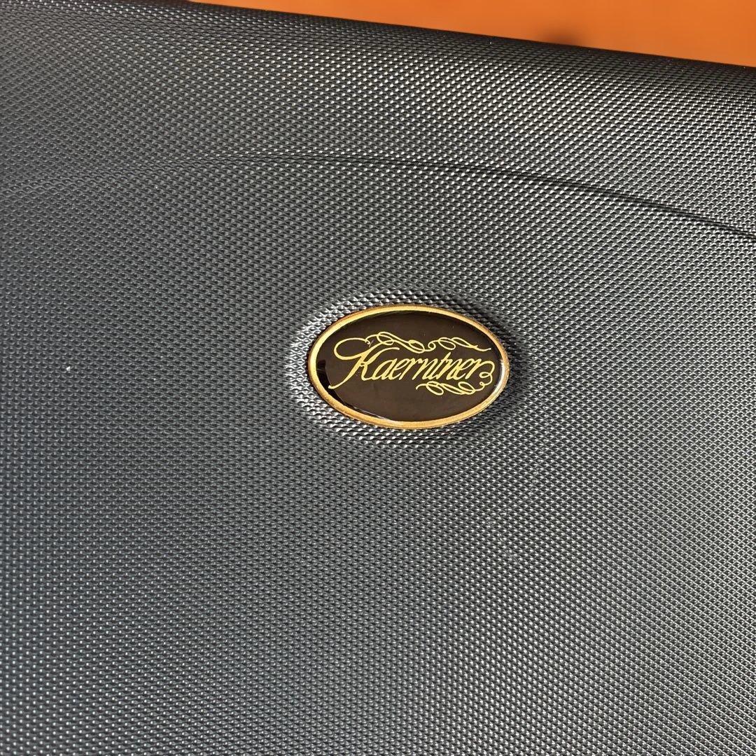 Kaerntner ケルントナー　アルトサックス 本体とケース付き