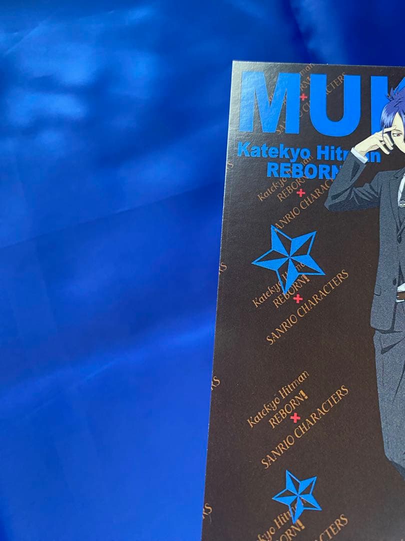 六道骸 雲雀恭弥 家庭教師ヒットマンREBORN 写真 ブロマイド ポスカ