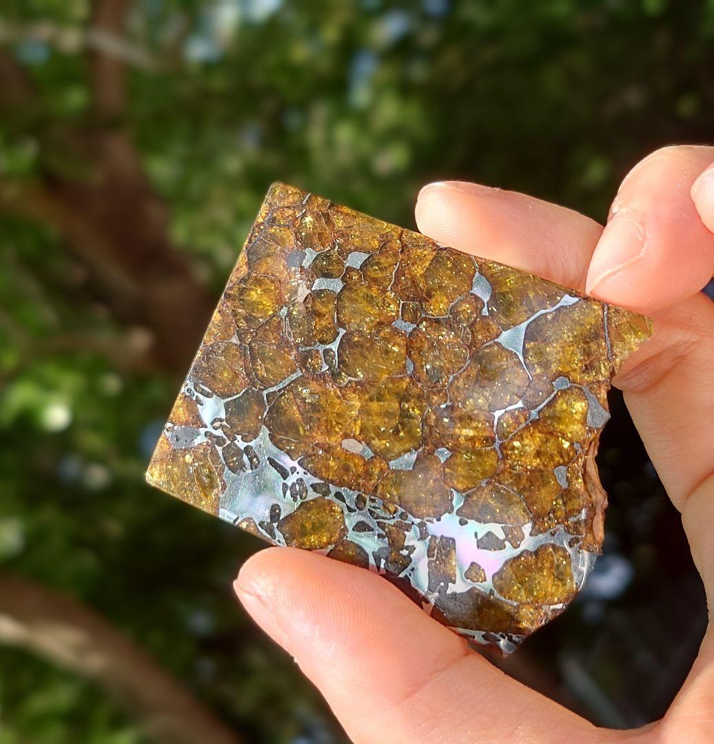 30.2g イミラック パラサイト 隕石 Imilac ⭐⭐