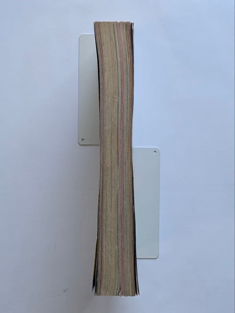 プリンセス　昭和58年1月　新年特大号　秋田書店　昭和レトロ