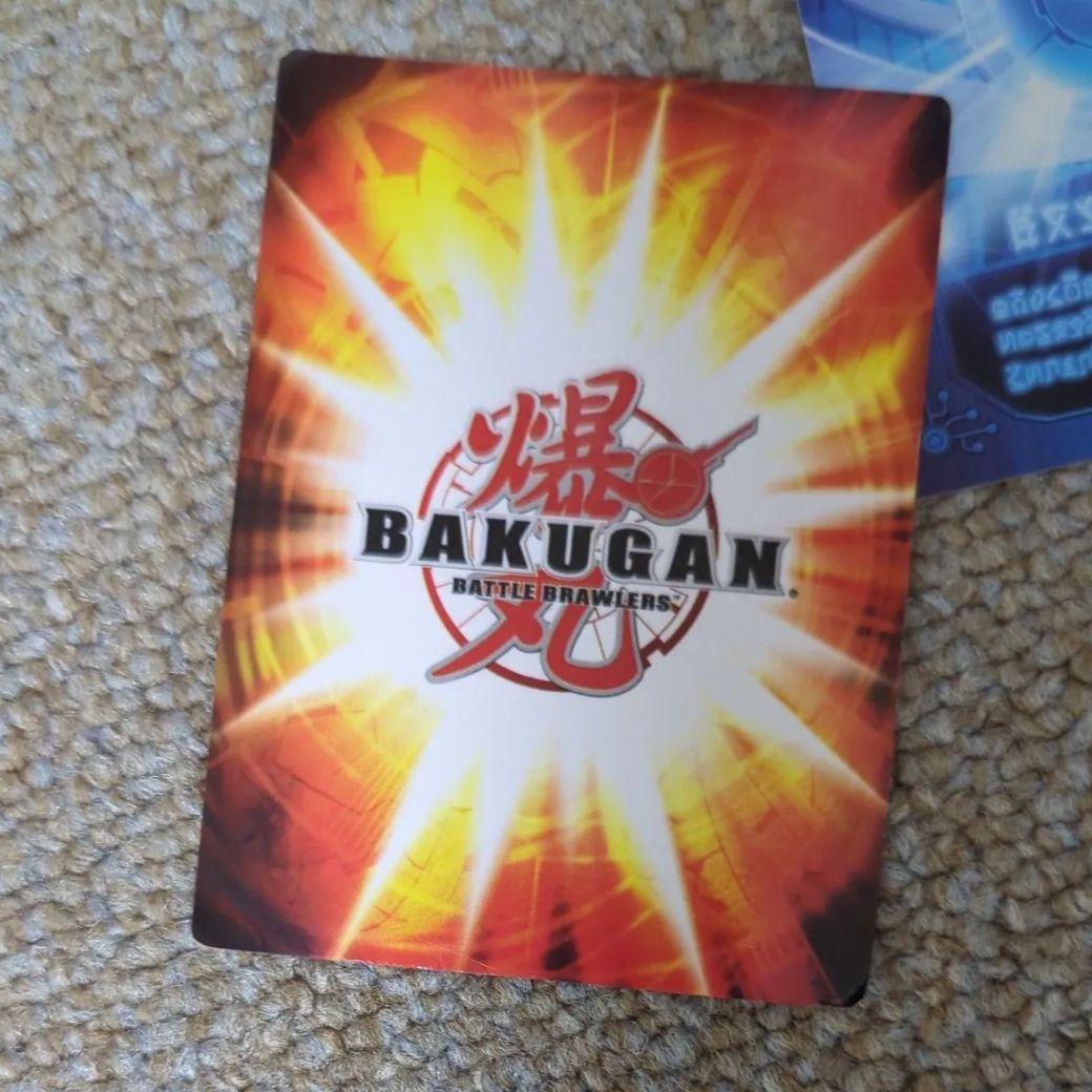 高*派様 皇レオネス アビリティカード付