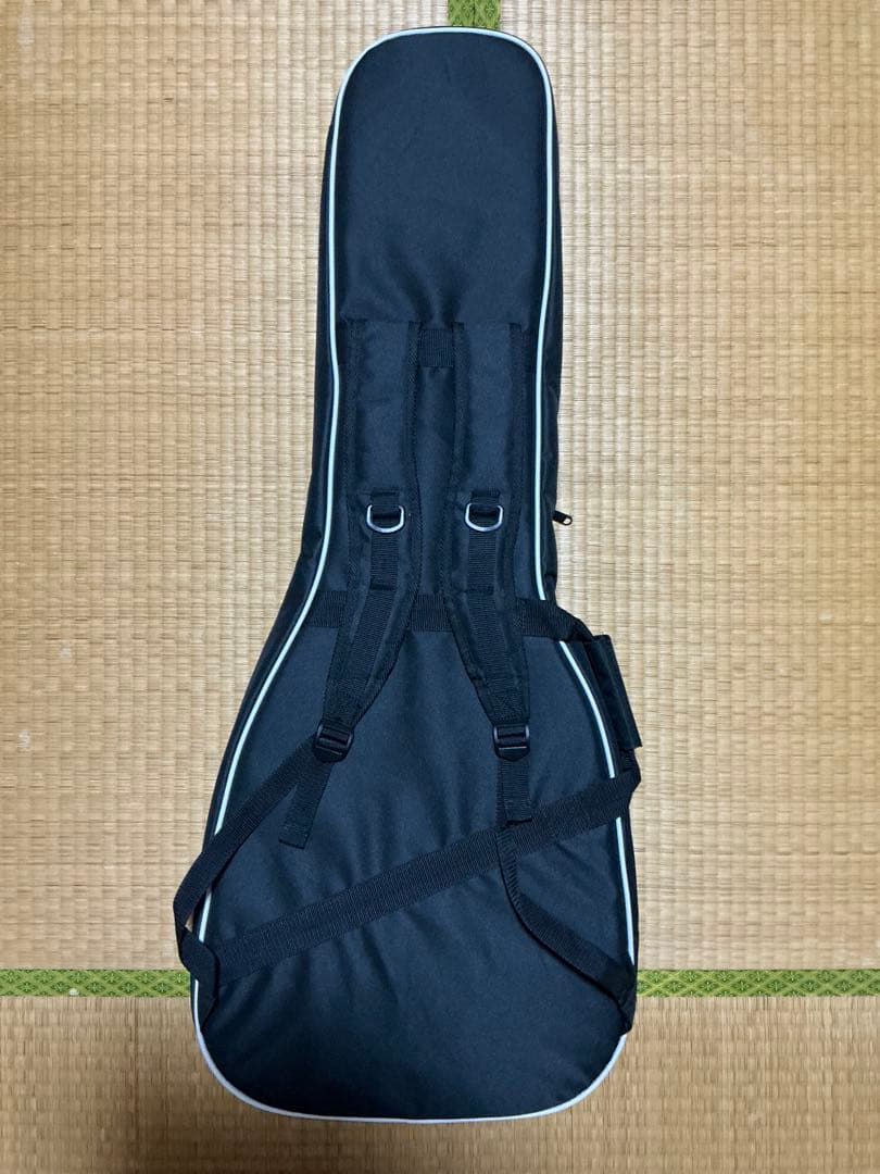 [美品・最終値下げ]Epiphone Les Paul Standard 60s