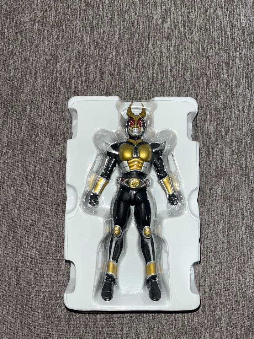 真骨頂SHフィギュアーツ 仮面ライダーアギト