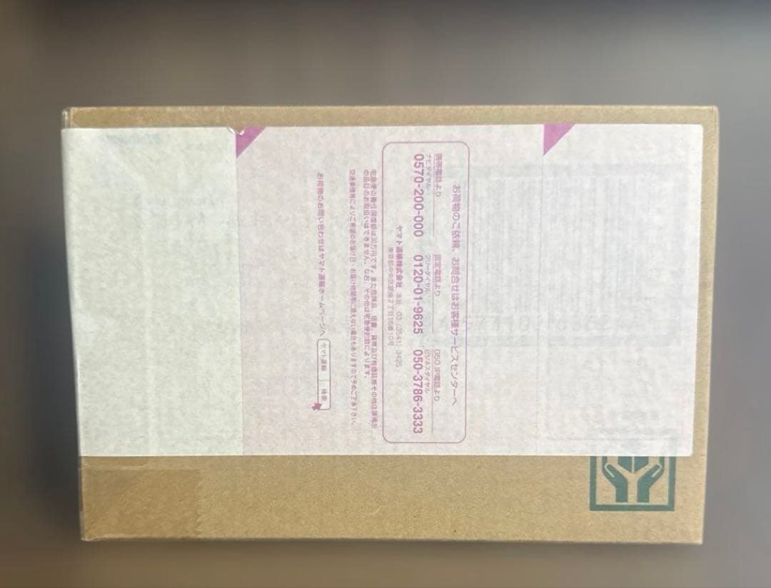 風都探偵仮面ライダースカルの肖像 真骨彫製法 仮面ライダーW サイクロンスカル